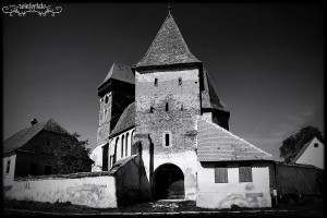 bagaciu_by_wintertale_gabrielle-d38oqnu